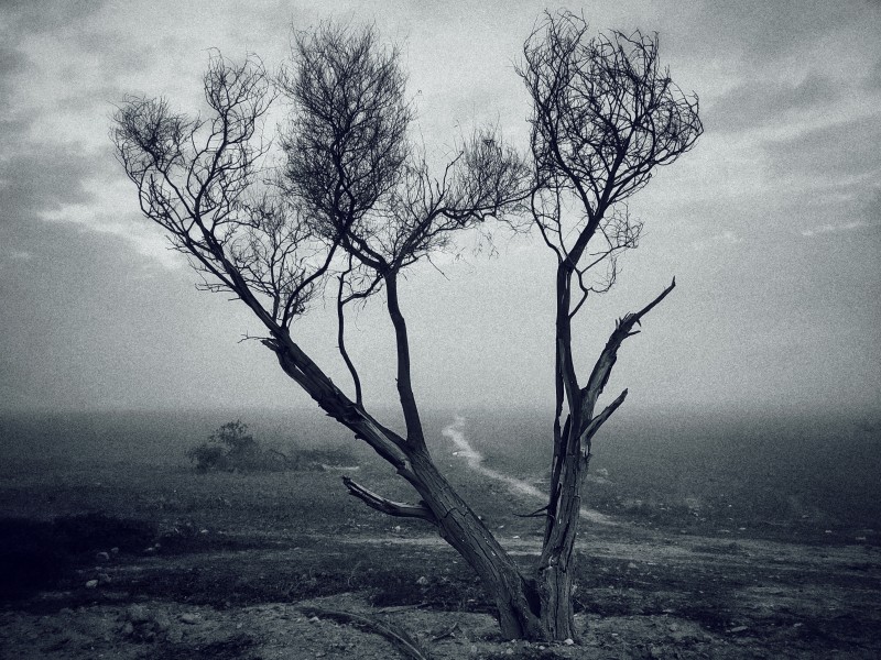 Sad nature - &copy; Benaissa Ilyes | Fine Art
