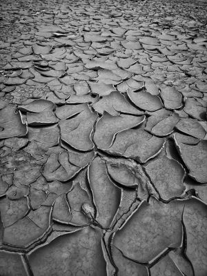 Cracked land / Natur  Fotografie von Fotograf Benaissa Ilyes | STRKNG