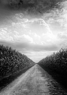 Pre Popcorn Road / Landscapes  photography by Photographer Thomas Maenz ★5 | STRKNG