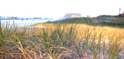 Beachscape / Landscapes  Fotografie von Fotograf 3cre8ive | STRKNG