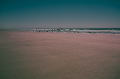 Gulls &amp; Pastels / Landscapes  Fotografie von Fotograf Kris Taylor ★2 | STRKNG