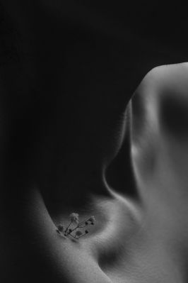 Flower Of Skin / Nude  Fotografie von Fotograf Niloofar Balalami ★1 | STRKNG