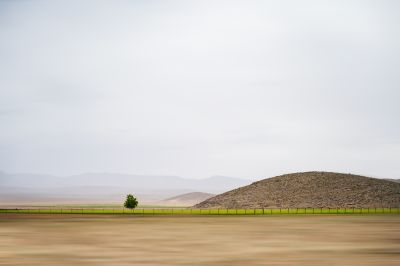 Alone tree / Landscapes  photography by Photographer Zari ★2 | STRKNG