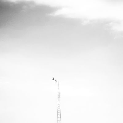 high and white / Schwarz-weiss  Fotografie von Fotograf Milad Saeedi | STRKNG