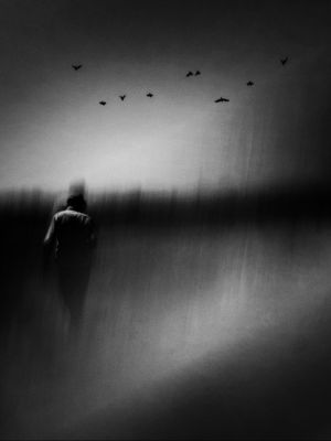 Liberation / Black and White  photography by Photographer HannanehAkhoondi ★3 | STRKNG