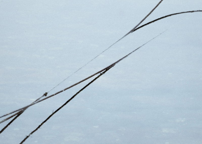 Mooring lines, Port St Mary, Isle of Man - &copy; Simon Dodsworth | Abstract