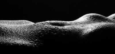 bodyscape / Nude  Fotografie von Fotograf Marc Schoonackers | STRKNG
