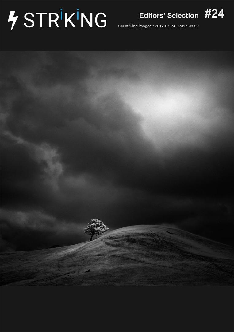 Editors' Selection - #24 - Blog-Beitrag von  STRKNG / 18.07.2018 13:37