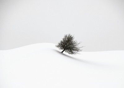 6 »white winter« © Photographer Renate Wasinger