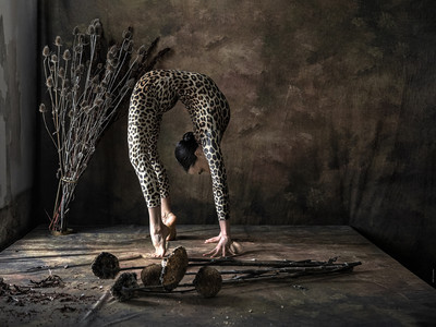 4) »cat part1 I/V | tanzsaal | 2o24« © Willi Schwanke / Konzeptionell