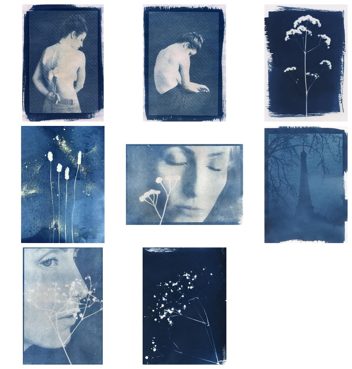 cyanotype &copy; Photographer Martina Grabinsky