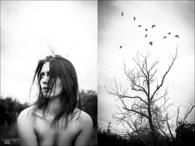 » #2/3 « / the birds / Blog post by <a href="https://andreaspuhl.strkng.com/en/">Photographer Andreas Puhl</a> / 2020-04-17 12:11 / Nude