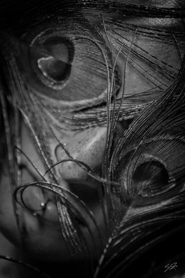 » #1/7 « / Peacocks Feather / Blog post by <a href="https://strkng.com/en/model/peacocks+feather/">Model Peacocks feather</a> / 2018-11-27 10:39