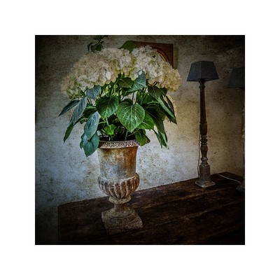 » #3/9 « / Home sweet home / Blog-Beitrag von <a href="https://strkng.com/de/fotograf/ecd-2/">Fotograf ECD.2</a> / 22.03.2021 10:33 / Interior