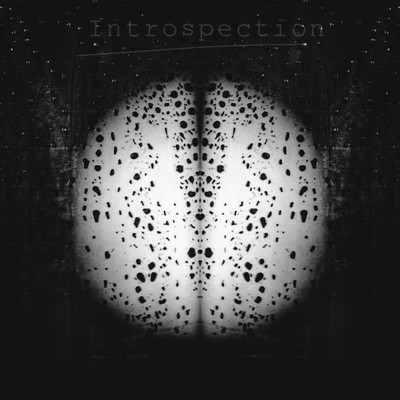 Introspection (cover) / Fine Art