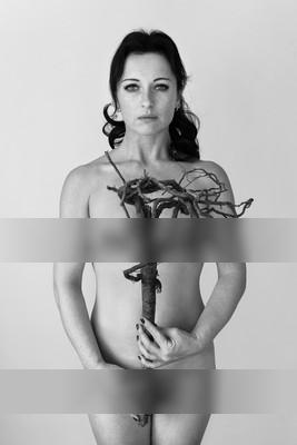 » #5/5 « / Adorned / Blog-Beitrag von <a href="https://strkng.com/de/fotografin/astrid+susanna+schulz/">Fotografin Astrid Susanna Schulz</a> / 14.04.2019 17:33 / Nude