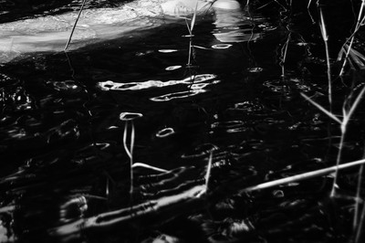 » #3/6 « / In deep water / Blog-Beitrag von <a href="https://strkng.com/de/fotografin/astrid+susanna+schulz/">Fotografin Astrid Susanna Schulz</a> / 06.08.2019 12:15 / Schwarz-weiss