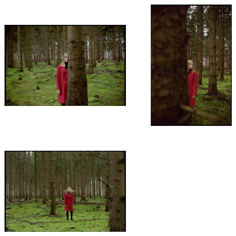 In the woods - Blog-Beitrag von Fotografin Astrid Susanna Schulz / 07.03.2022 22:32