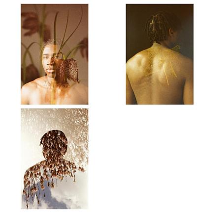 BLOG / Alternative Process  photography by Photographer Astrid Susanna Schulz ★48 | STRKNG