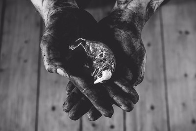 » #5/8 « / Blog post by <a href="https://strkng.com/en/photographer/sebastian+freitag/">Photographer Sebastian Freitag</a> / 2017-06-30 13:23