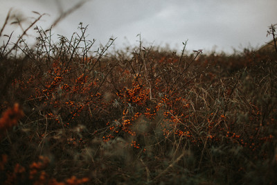 » #1/9 « / Blog post by <a href="https://strkng.com/en/photographer/maria+sch%C3%A4fer+photography/">Photographer Maria Schäfer Photography</a> / 2017-10-04 09:29