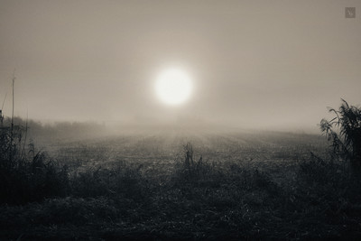 » #4/4 « / Blog post by <a href="https://strkng.com/en/photographer/valou+perron---photography---/">Photographer Valou Perron...Photography...</a> / 2018-01-10 11:31