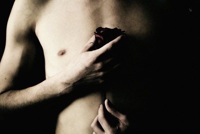 » #2/6 « / The rose / Blog-Beitrag von <a href="https://strkng.com/de/fotografin/valou+perron---photography---/">Fotografin Valou Perron...Photography...</a> / 26.03.2018 13:10