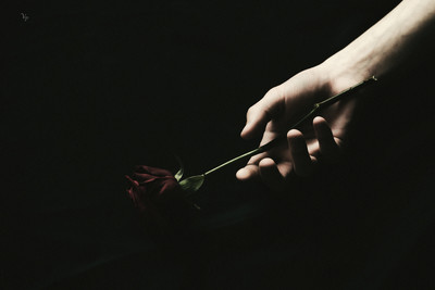 » #6/6 « / The rose / Blog post by <a href="https://strkng.com/en/photographer/valou+perron---photography---/">Photographer Valou Perron...Photography...</a> / 2018-03-26 13:10