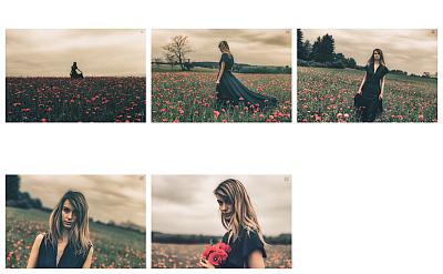 Poppies - Blog post by Photographer Valou Perron...Photography... / 2018-06-13 12:57