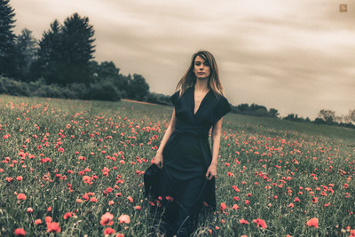 » #3/5 « / Poppies / Blog-Beitrag von <a href="https://strkng.com/de/fotografin/valou+perron---photography---/">Fotografin Valou Perron...Photography...</a> / 13.06.2018 12:57