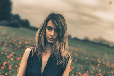 » #4/5 « / Poppies / Blog post by <a href="https://strkng.com/en/photographer/valou+perron---photography---/">Photographer Valou Perron...Photography...</a> / 2018-06-13 12:57