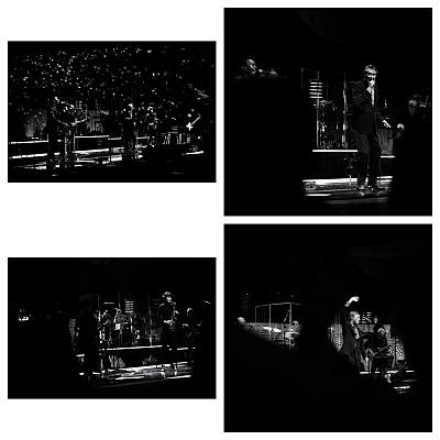 A visit to Bryan Ferry in the Elbphilharmonie Hamburg - Blog post by Photographer Hans-Martin Doelz / 2021-04-19 07:22