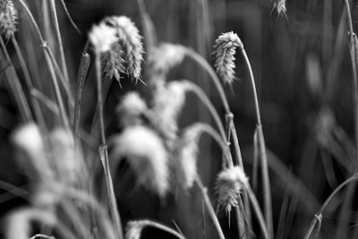 » #4/9 « / Ein Tag mit Astar. / Blog post by <a href="https://strkng.com/en/photographer/tim+bucka/">Photographer Tim Bucka</a> / 2019-09-08 13:50