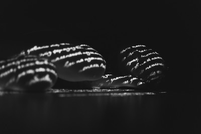 » #7/9 « / Not my records / Blog-Beitrag von <a href="https://strkng.com/de/fotograf/dewframe/">Fotograf DEWFRAME</a> / 19.03.2024 14:40