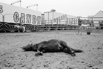 » #3/9 « / gestrandet... / Blog-Beitrag von <a href="https://strkng.com/de/fotograf/gruford/">Fotograf gruford</a> / 20.08.2020 08:30