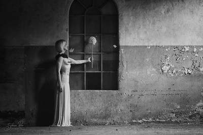 » #4/9 « / die alte Textilfabrik / Blog-Beitrag von <a href="https://strkng.com/de/fotografin/schiwa+rose/">Fotografin Schiwa Rose</a> / 29.06.2019 18:38 / Konzeptionell