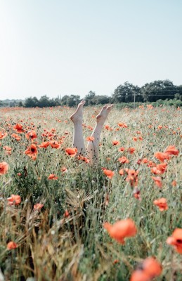 » #5/9 « / Poppy feels as poppy is / Blog post by <a href="https://strkng.com/en/photographer/andrea+grzicic/">Photographer Andrea Grzicic</a> / 2018-08-21 17:56