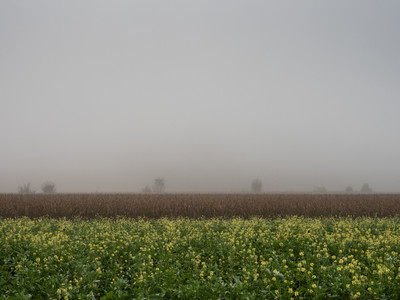 » #4/9 « / morning fog / Blog post by <a href="https://strkng.com/en/photographer/bildausschnitte-at/">Photographer bildausschnitte.at</a> / 2019-11-07 20:39
