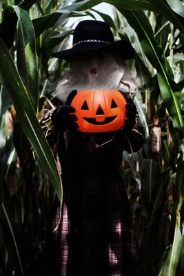 » #4/5 « / Trick or Treat / Blog-Beitrag von <a href="https://strkng.com/de/fotografin/claudia+hantschel/">Fotografin Claudia Hantschel</a> / 12.09.2020 12:05 / Fine Art / claudia,hantschel,photography