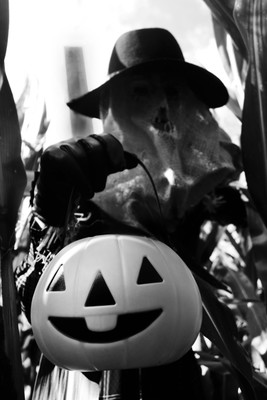 » #5/5 « / Trick or Treat / Blog post by <a href="https://strkng.com/en/photographer/claudia+hantschel/">Photographer Claudia Hantschel</a> / 2020-09-12 12:05 / Fine Art