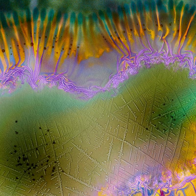 “Photographs Modified by Bacteria” by Ron Geipel - Blog post by  NOICE | Photography and Art Publication / 2018-09-25 11:04