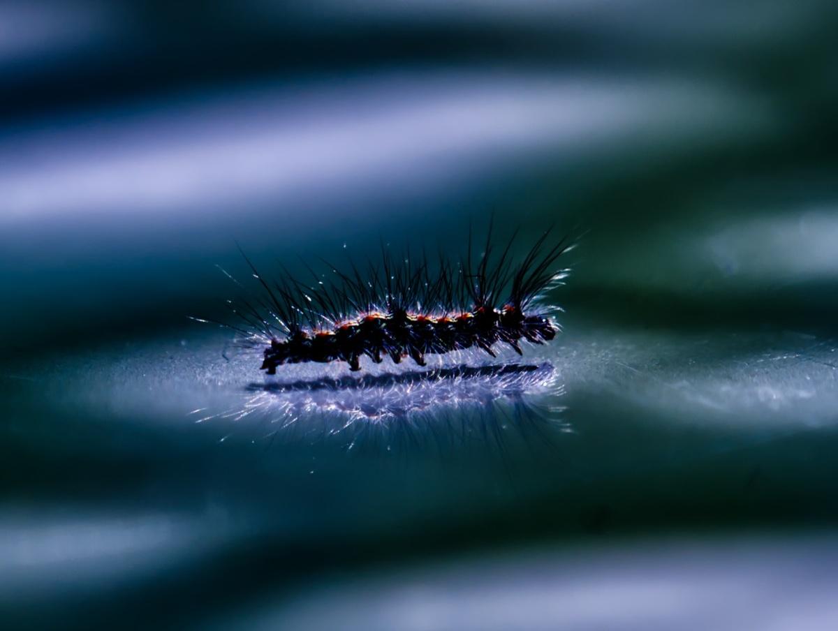 NOT ONLY THE GIRLS ARE PHOTOGENIC - Blog-Beitrag von Fotograf JORG BECKER / 15.06.2025 09:18