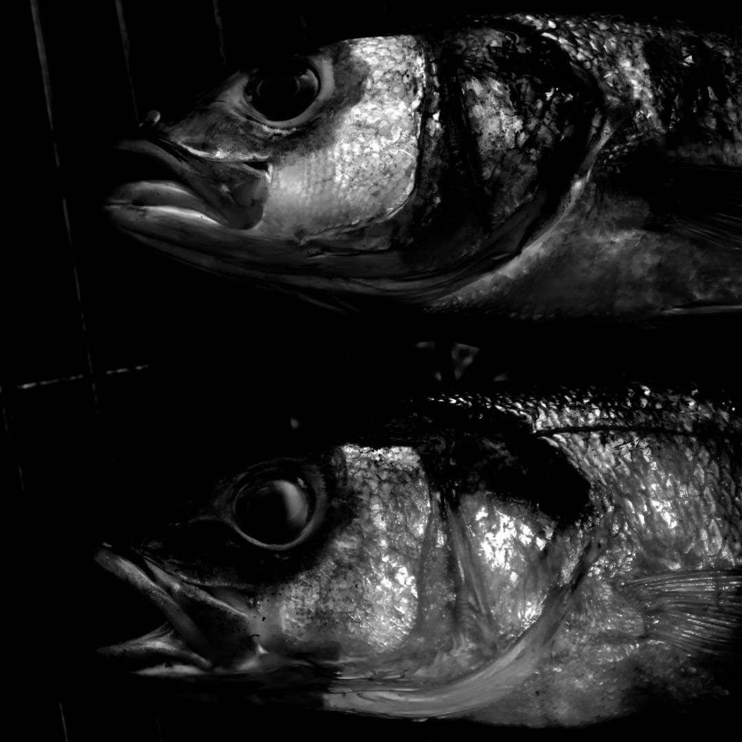 LE BAR - Blog post by Photographer Jorg Becker / 2025-06-23 08:14