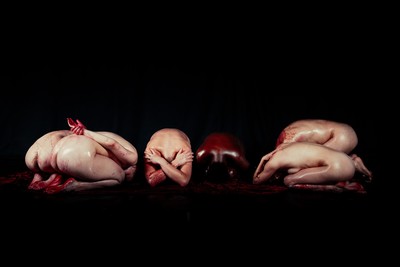 » #2/9 « / Blog post by <a href="https://strkng.com/en/photographer/daniel-nartschick/">Photographer daniel.nartschick</a> / 2018-11-07 15:07