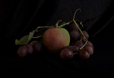 » #1/6 « / Stillleben / Blog post by <a href="https://strkng.com/en/photographer/risu/">Photographer Risu</a> / 2018-09-17 10:55