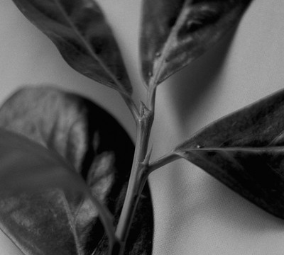 » #2/9 « / Autumn Study / Blog-Beitrag von <a href="https://strkng.com/de/fotografin/risu/">Fotografin Risu</a> / 22.09.2018 19:58