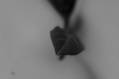 » #3/9 « / Autumn Study / Blog-Beitrag von <a href="https://strkng.com/de/fotografin/risu/">Fotografin Risu</a> / 22.09.2018 19:58