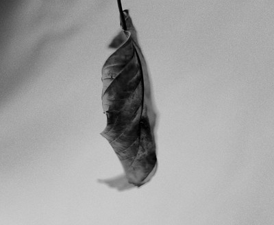 » #6/9 « / Autumn Study / Blog-Beitrag von <a href="https://strkng.com/de/fotografin/risu/">Fotografin Risu</a> / 22.09.2018 19:58