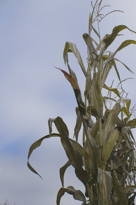 » #3/7 « / Home / Blog-Beitrag von <a href="https://strkng.com/de/fotografin/risu/">Fotografin Risu</a> / 30.09.2018 18:55