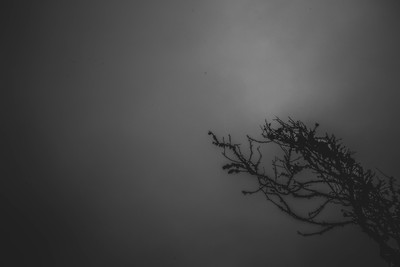 » #4/6 « / Blog post by <a href="https://strkng.com/en/photographer/kjtaylor-fotografik/">Photographer KjTaylor_Fotografik</a> / 2023-01-02 12:14